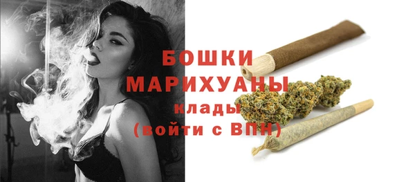 бошки Няндома