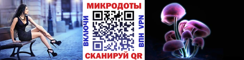 Псилоцибиновые грибы GOLDEN TEACHER  закладки  Городовиковск 